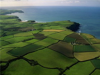 Оценка земельных участков и прав пользования ими